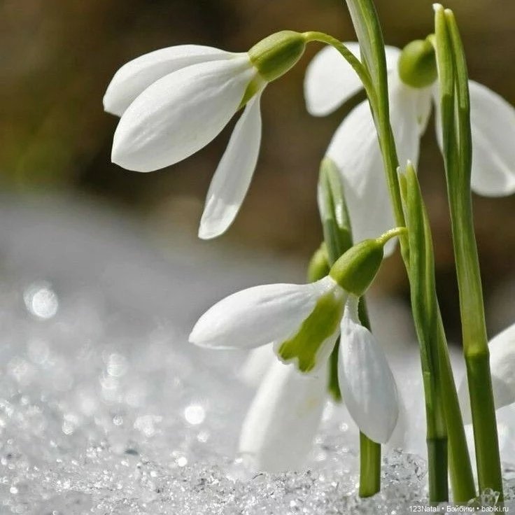 Это Весна, детка — Интересное и необычное: фотоподборки