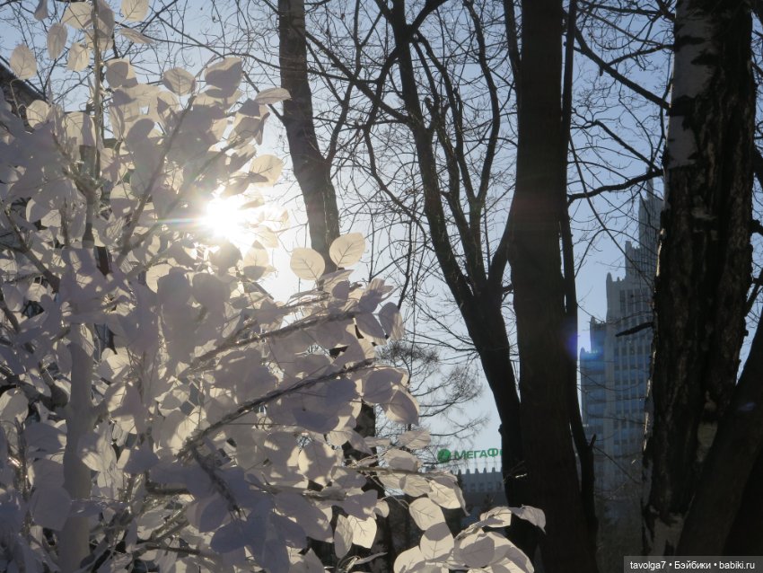 Лиса красна — Куклы Mattel (Маттел) разное: Enchantimals