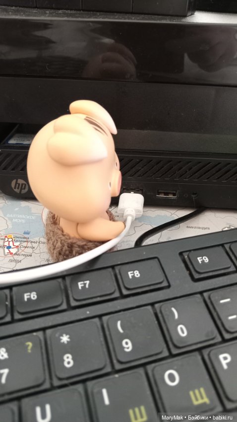 Как поросёнок на работу ходил