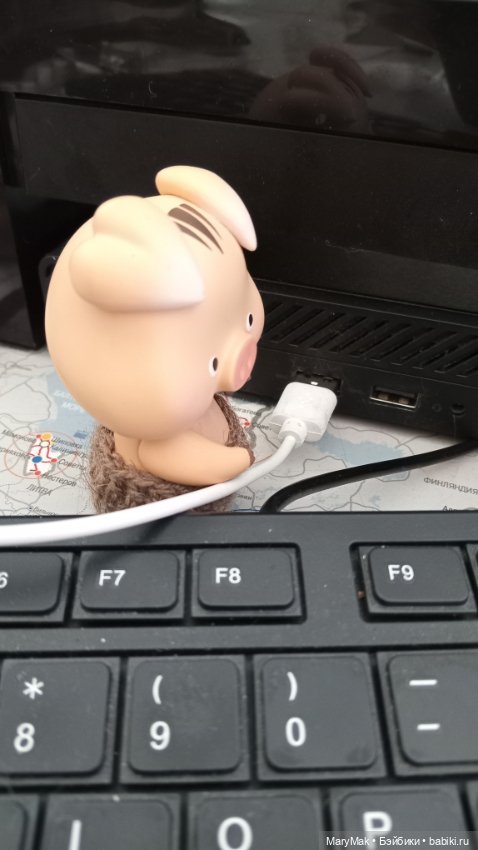 Как поросёнок на работу ходил