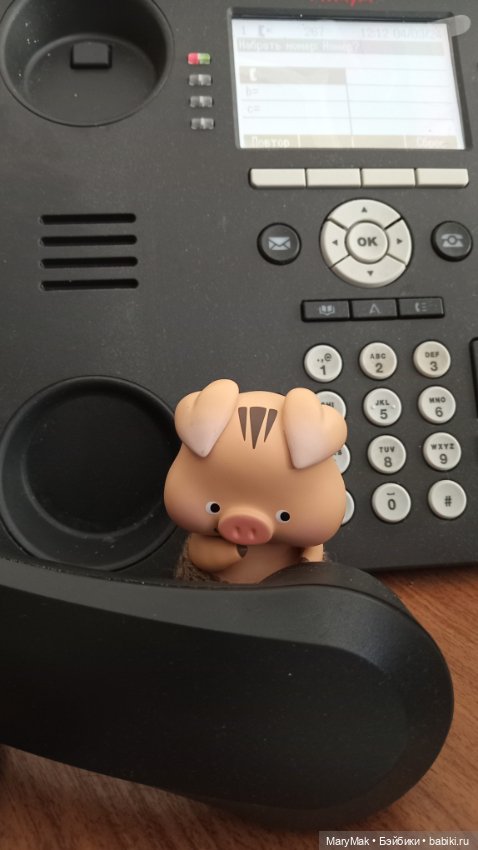 Как поросёнок на работу ходил (фото 10)