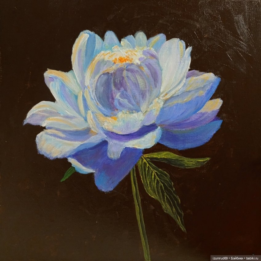 Я рисую. Часть 15 — Рисование и арт: скетчи (фото 3)