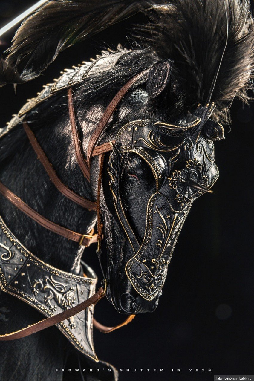 THE TRIAL KNIGHT NOUART от POP COSTUME (фото 9)