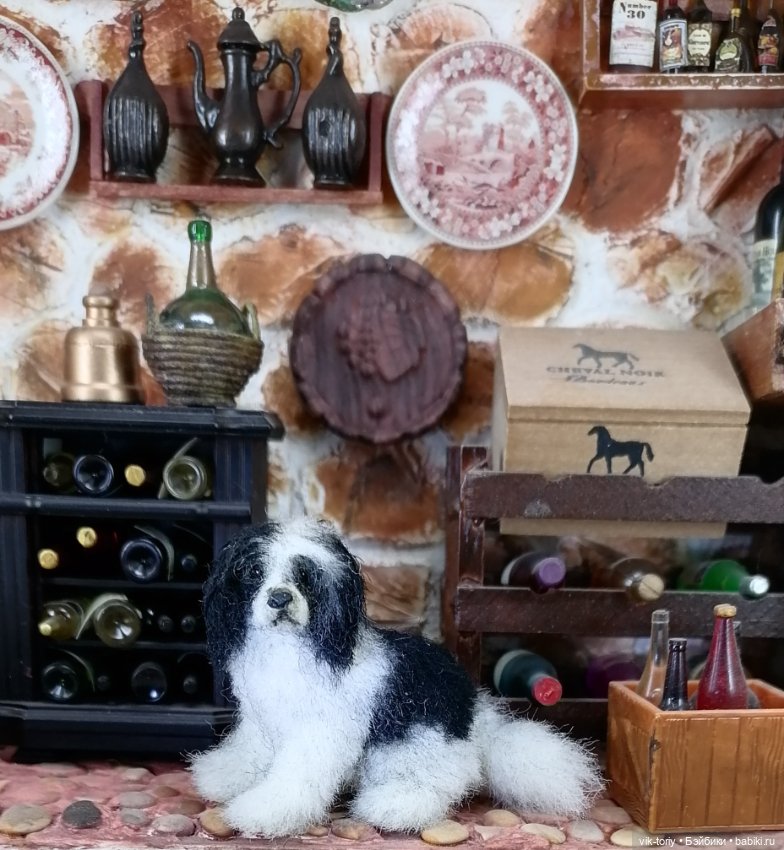 Собака неизвестной породы 🐶