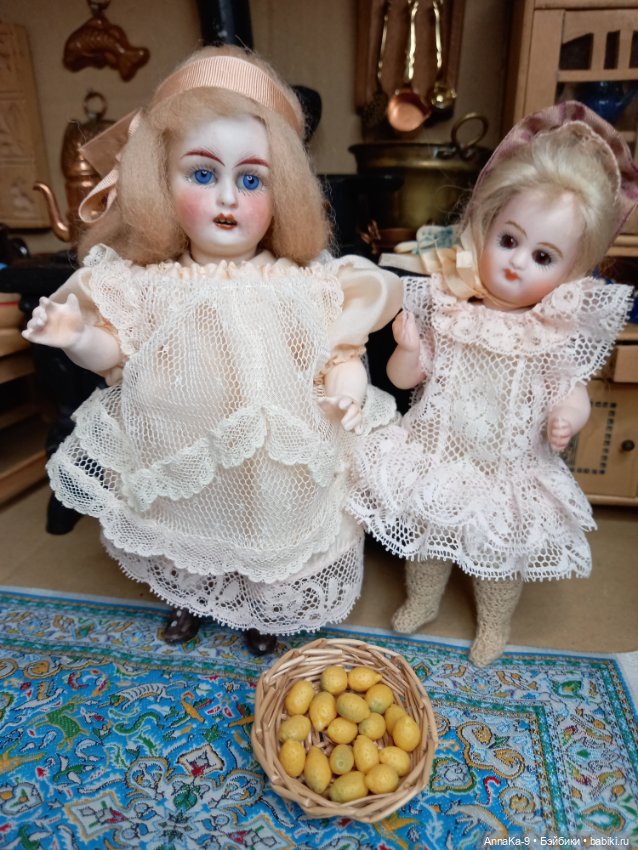 Знакомство с Гюльденштедтией фон Монфиллой (фото 6)