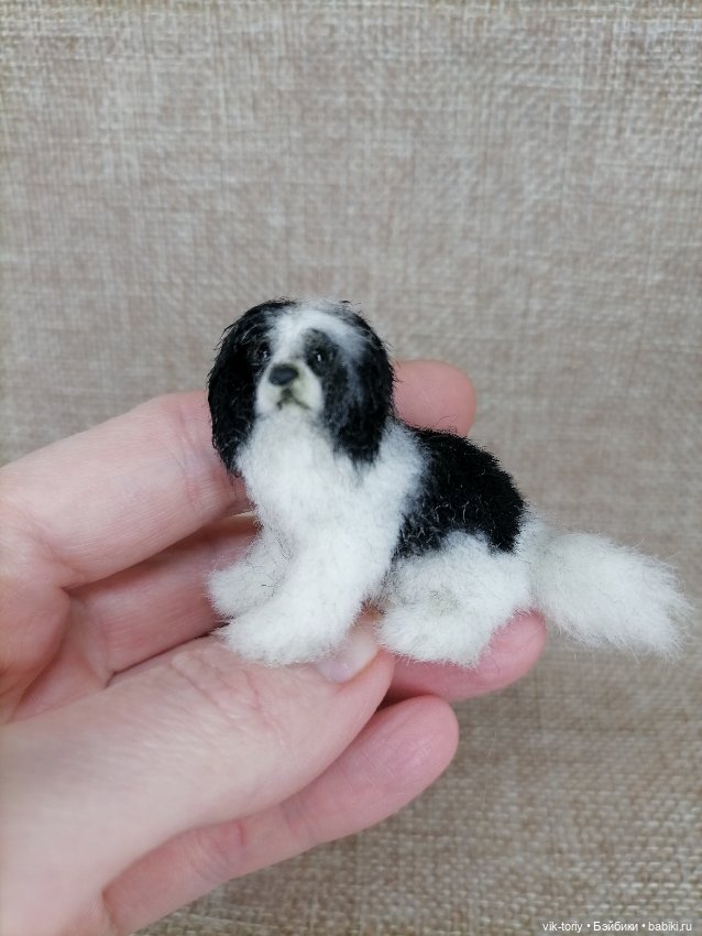 Собака неизвестной породы 🐶 (фото 9)