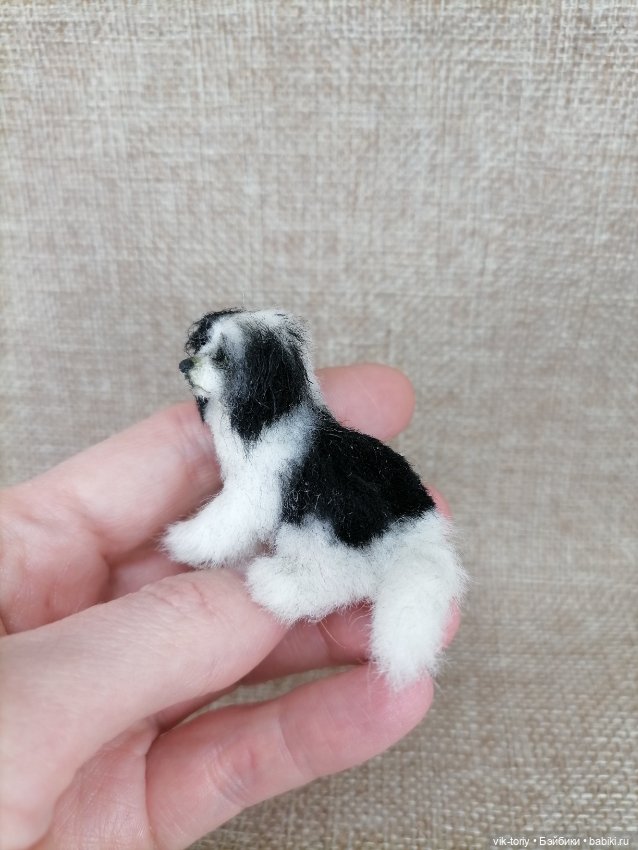 Собака неизвестной породы 🐶