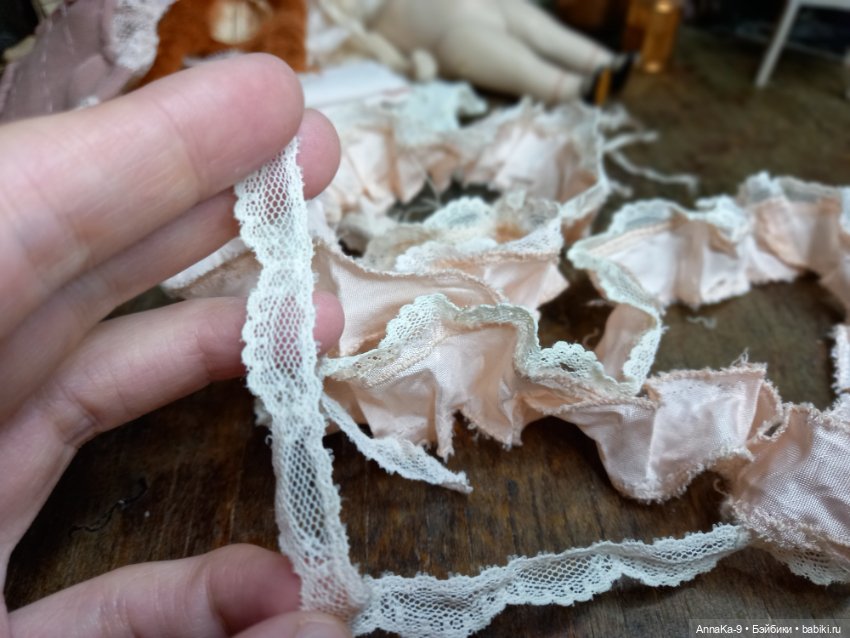 Знакомство с Гюльденштедтией фон Монфиллой (фото 3)