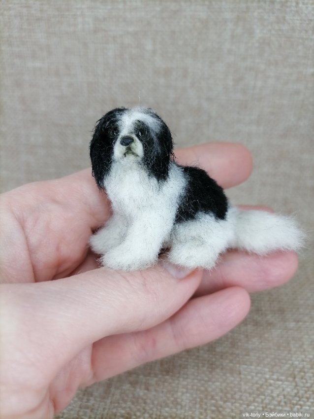 Собака неизвестной породы 🐶 (фото 4)