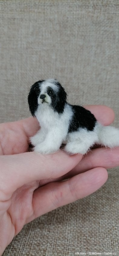 Собака неизвестной породы 🐶 (фото 7)