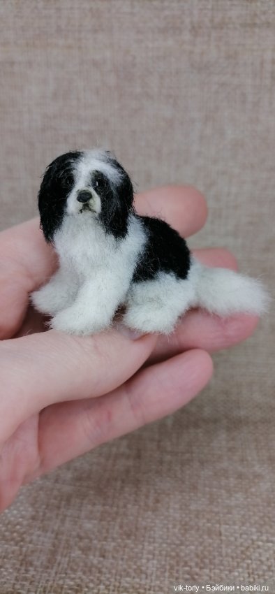 Собака неизвестной породы 🐶 (фото 6)