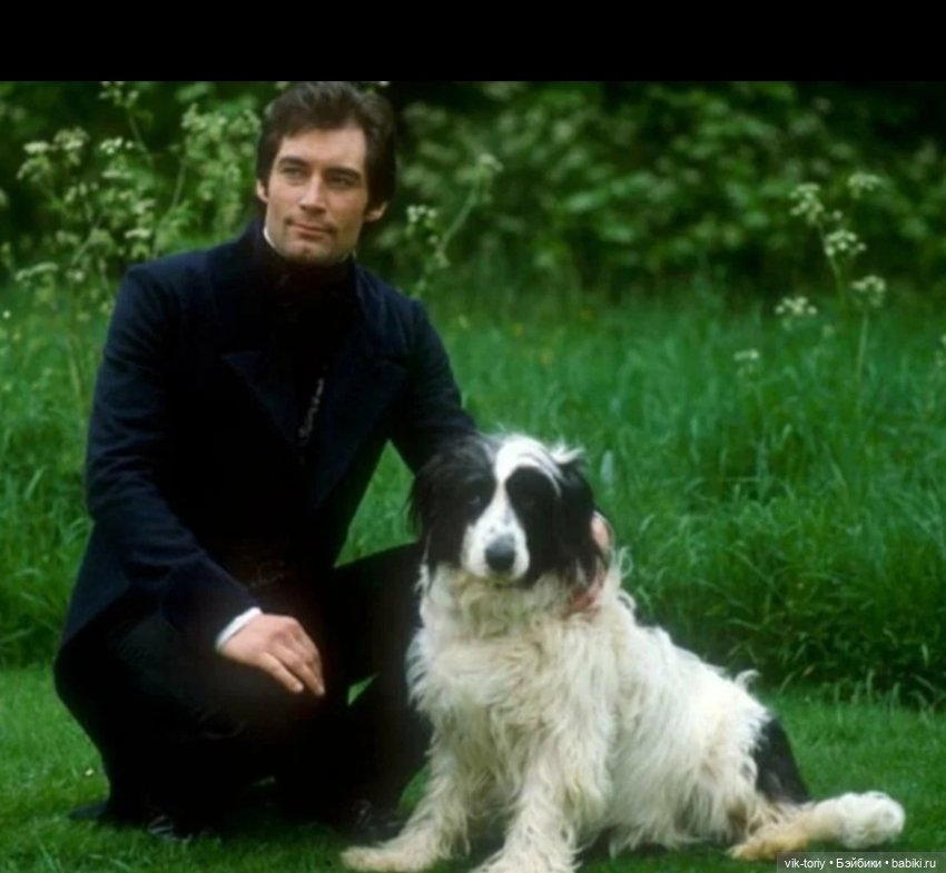 Собака неизвестной породы 🐶