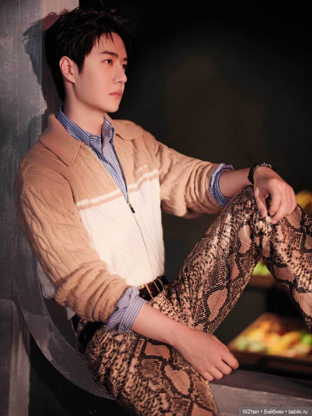 Ван Ибо и Сяо Чжань: стильная фотосессия для ярких воспоминаний