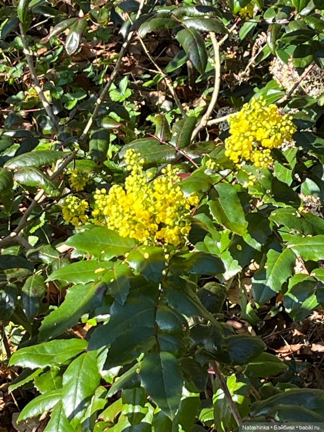 Музыкальная История 100 — Туризм и путешествия: фотоотчеты из поездок (фото 2)