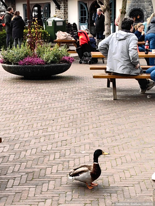 Музыкальная История 100 — Туризм и путешествия: фотоотчеты из поездок