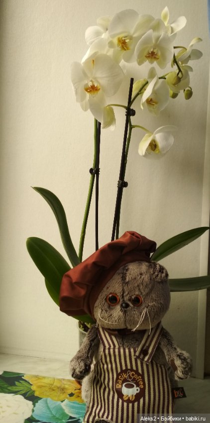 8 марта и открытки куклы ГДР с цветами