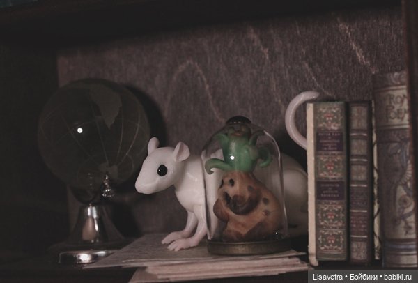 Жизнь Крысячья 2 — Фотоистории с куклами BJD (БЖД): сериалы (фото 4)