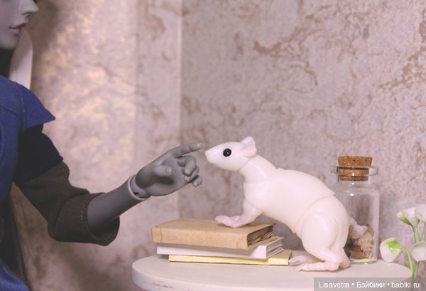 Жизнь Крысячья 2 — Фотоистории с куклами BJD (БЖД): сериалы (фото 6)