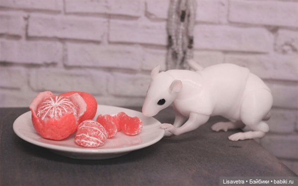 Жизнь Крысячья 2 — Фотоистории с куклами BJD (БЖД): сериалы (фото 7)