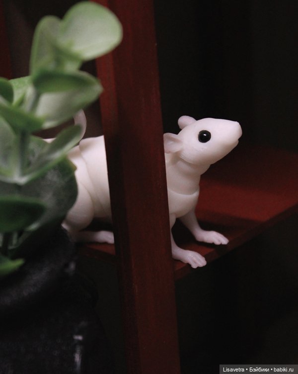 Жизнь Крысячья 2 — Фотоистории с куклами BJD (БЖД): сериалы (фото 3)