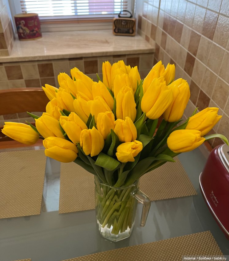 Мирон с Пряником поздравляет всех с праздником весны🌞