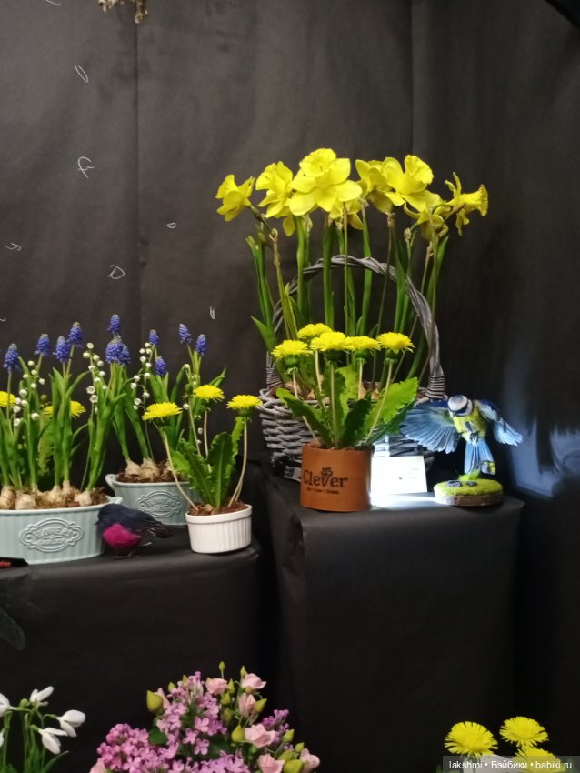 Рисса снова гуляет по Тишинке 08.03.24_часть 1