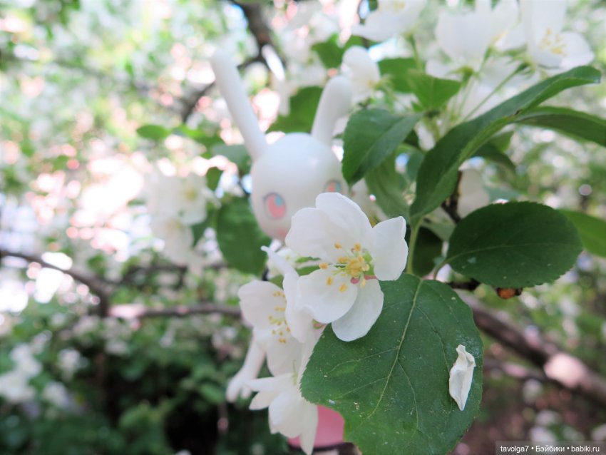 Catrinas от Maya Studio, поставщик Paola Reina