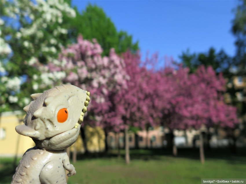 Catrinas от Maya Studio, поставщик Paola Reina