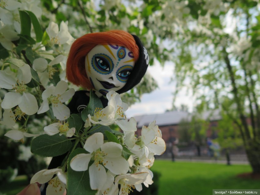 Catrinas от Maya Studio, поставщик Paola Reina