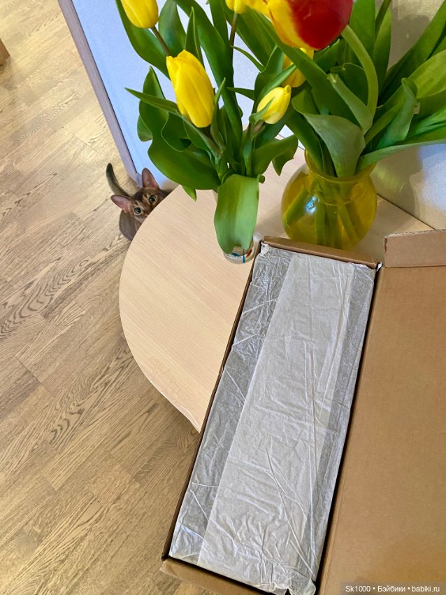 С 9 марта 🌷🌷🌷 — Куклы Integrity Toys (Интегрити): Poppy Parker