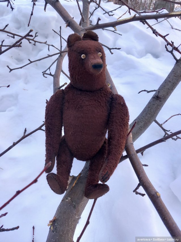 И ты, Брут — Авторские мишки Тедди и друзья: фото (фото 7)