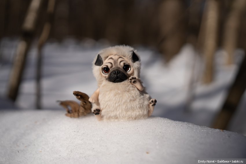 Мопсик — Домашние фото авторских игрушек: Тедди (фото 5)