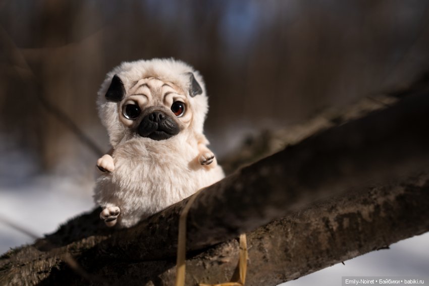 Мопсик — Домашние фото авторских игрушек: Тедди (фото 3)