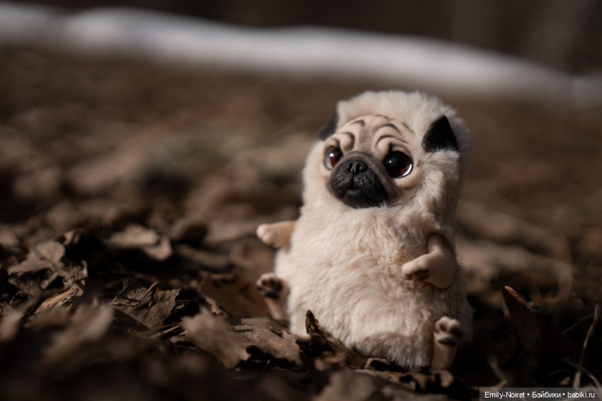 Мопсик — Домашние фото авторских игрушек: Тедди (фото 6)