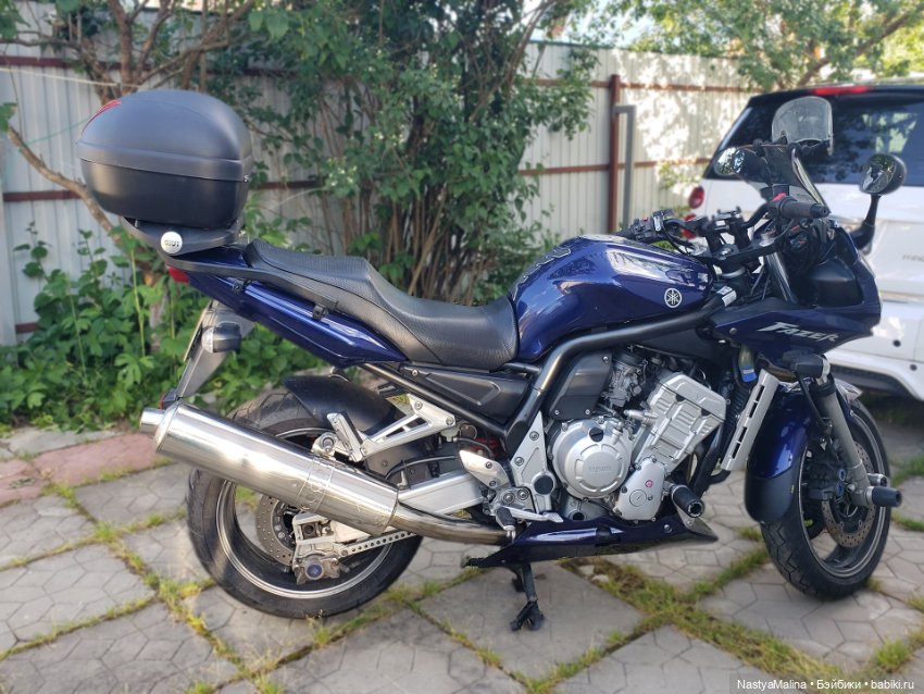 Дача 2023 (Медея получила письмо!) (фото 6)