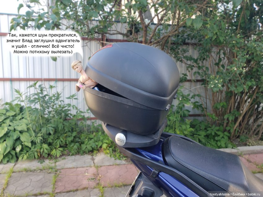 Дача 2023 (Медея получила письмо!) (фото 7)