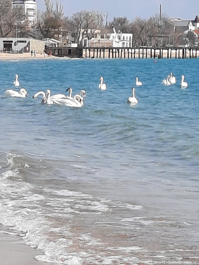 Весеннй фоторепортаж — Фотоистории с куклами BJD (БЖД): сериалы (фото 6)