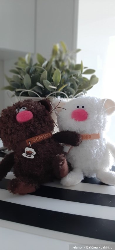 Кухонные коты, ой.. кофейные 🐈‍⬛ или твикс (фото 4)