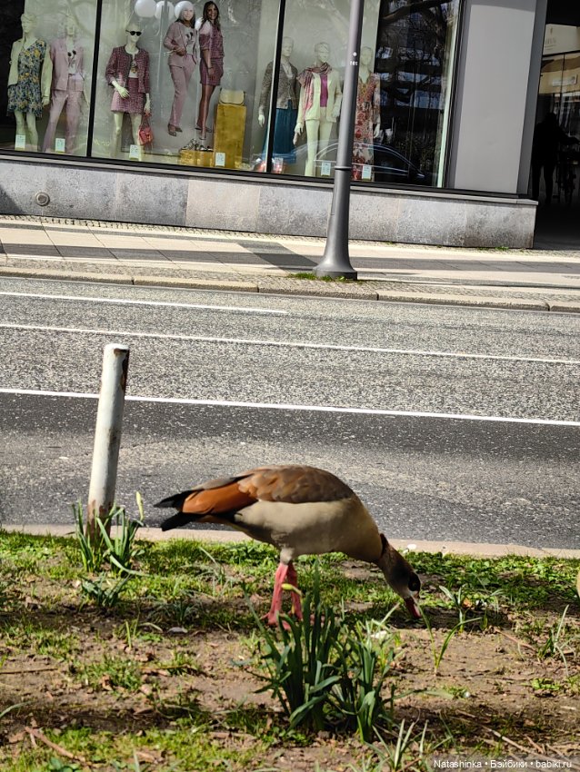 Музыкальная История 104 — Туризм и путешествия: фотоотчеты из поездок (фото 10)