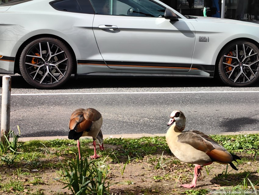 Музыкальная История 104 — Туризм и путешествия: фотоотчеты из поездок