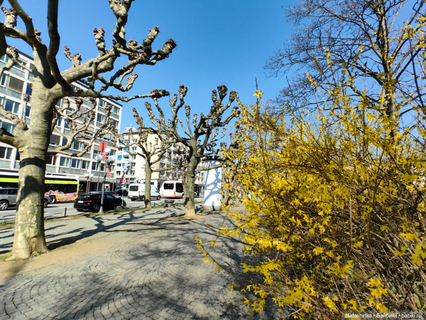 Музыкальная История 104 — Туризм и путешествия: фотоотчеты из поездок (фото 3)