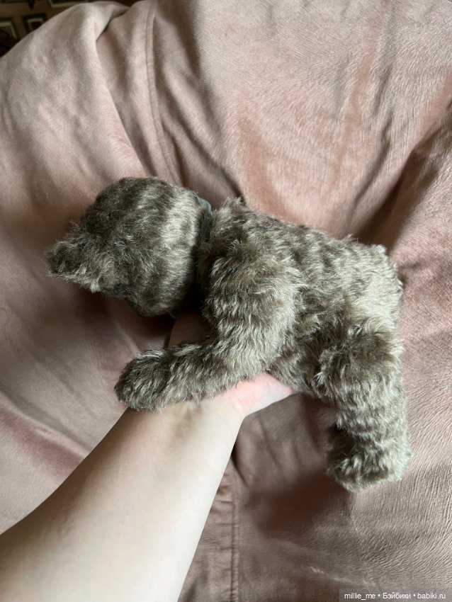 Новый, первый в году медвежонок