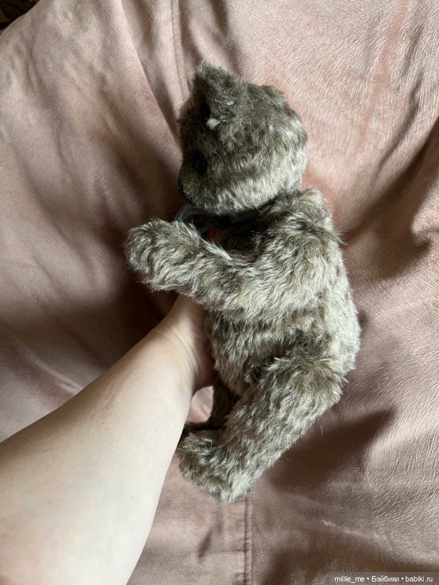 Новый, первый в году медвежонок