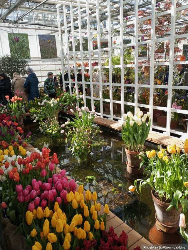 Репетиция весны с Чумачечим Зайцем