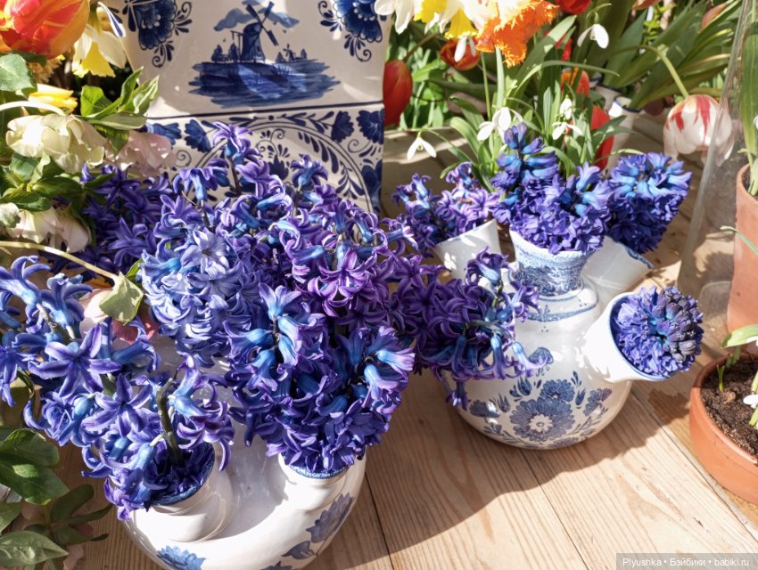 Репетиция весны с Чумачечим Зайцем