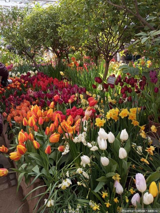 Репетиция весны с Чумачечим Зайцем