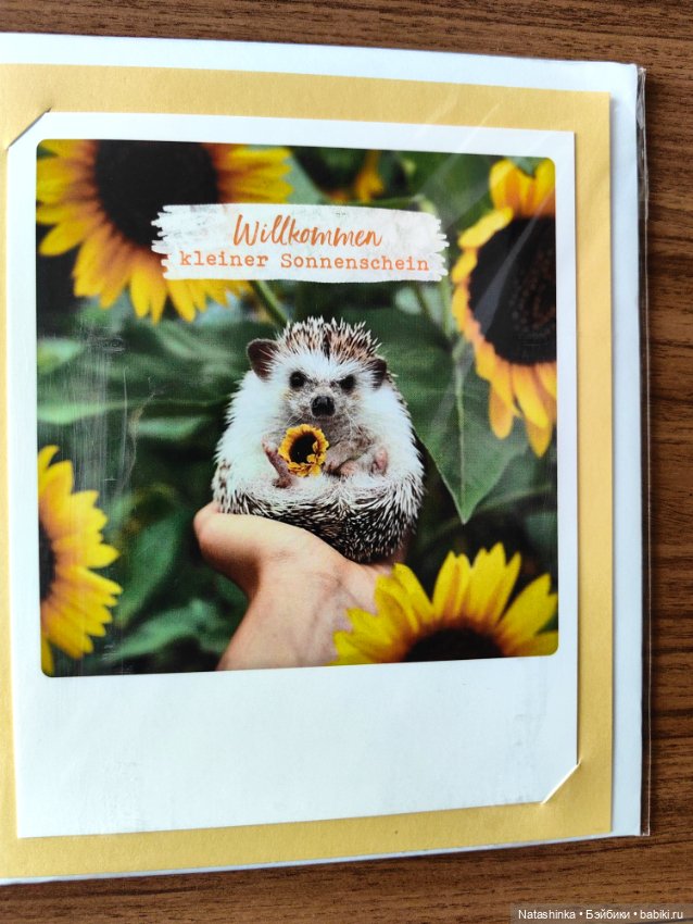 Музыкальная История 105 — Туризм и путешествия: фотоотчеты из поездок