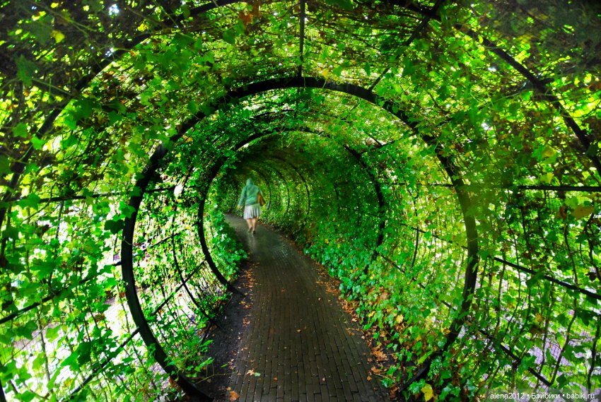 План идеального убийства. Сад ядовитых растений герцогини Нортумберлнедской