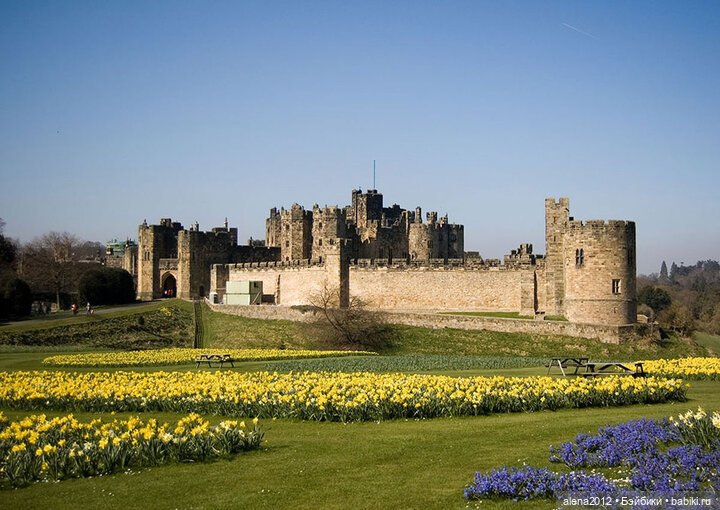 План идеального убийства. Сад ядовитых растений герцогини Нортумберлнедской