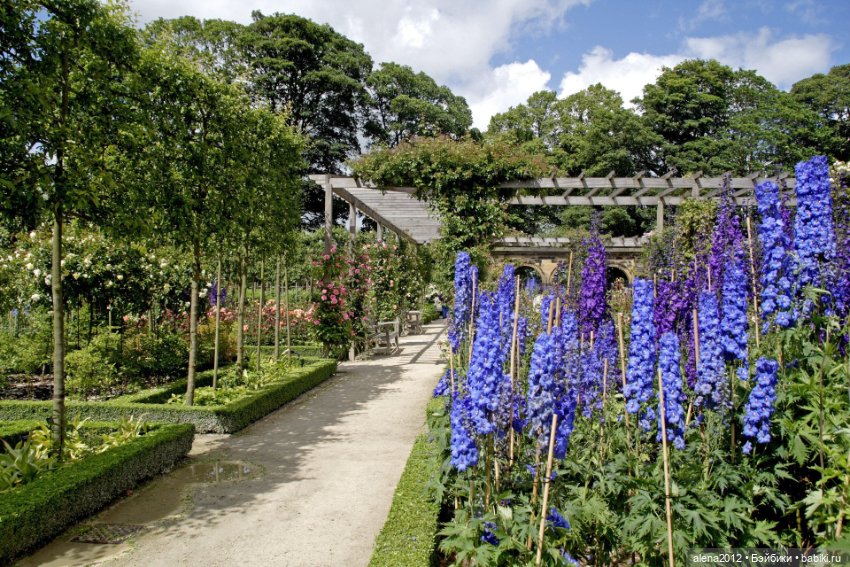 План идеального убийства. Сад ядовитых растений герцогини Нортумберлнедской (фото 9)